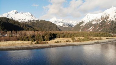 Yaban hayatı ve çığ ile Alaska bahar ve yaz 