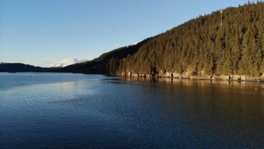 Yaban hayatı ve çığ ile Alaska bahar ve yaz 