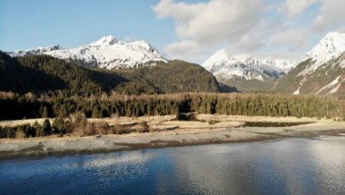 Yaban hayatı ve çığ ile Alaska bahar ve yaz 