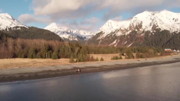 Schöne Frühlingslandschaft Der Nähe Von Alaska — Stockvideo