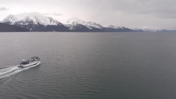 Barco Charter Levando Turistas Para Fora Vida Selvagem Visualização Pesca — Vídeo de Stock