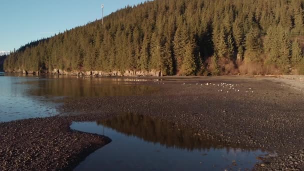 Bellissimo Paesaggio Primaverile Vicino Seward Alaska — Video Stock