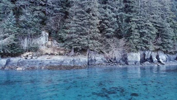 Alaska'da muhteşem manzara 