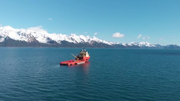 Leones Marinos Estelares Aves Marinas Cazando Peces Pequeños Seward Alaska — Vídeos de Stock