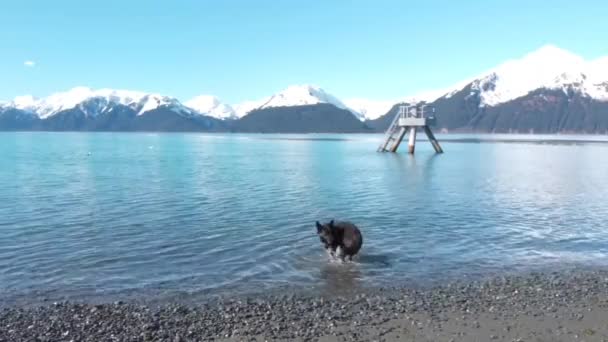 Hermosas Vistas Abril Desde Alaska — Vídeos de Stock
