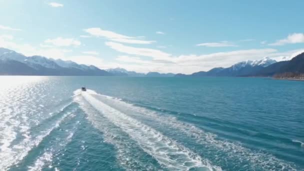 Kleine Vissersboot Charters Nemen Toeristen Onze Vissen Sight Seeing Drukke — Stockvideo