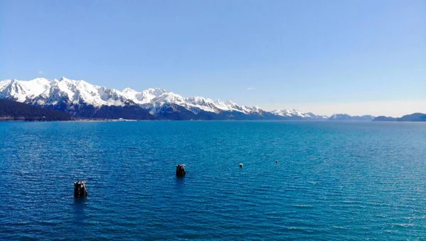 Vue Printemps Depuis Seward Alaska — Photo