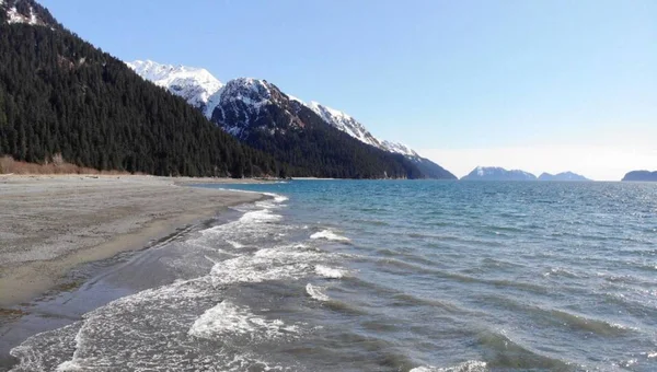 Seward Alaska'dan bahar manzaraları 