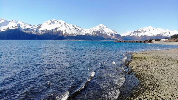 Seward Alaska'dan bahar manzaraları 
