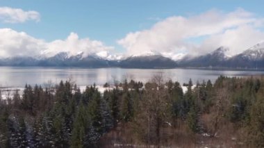 Güzel Alaska kıyıları ve dalgalar 