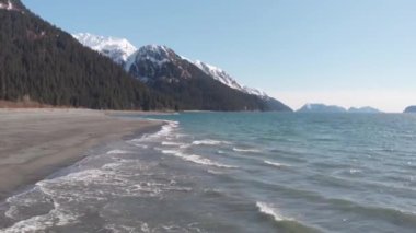 Güzel Alaska kıyıları ve dalgalar 