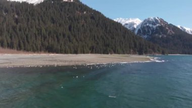 Güzel Alaska kıyıları ve dalgalar 