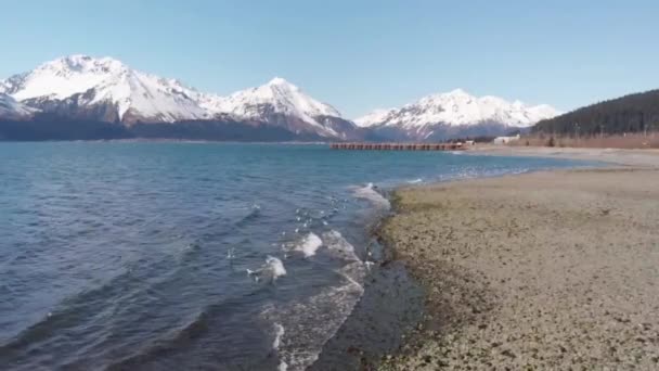 Hermosa Costa Alaska Olas — Vídeos de Stock