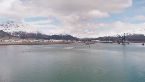 Drukke Haven Van Seward Alaska Harbor Waterfront — Stockvideo