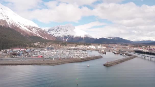 Geschäftiger Hafen Von Alaska Hafen Und Hafenpromenade — Stockvideo