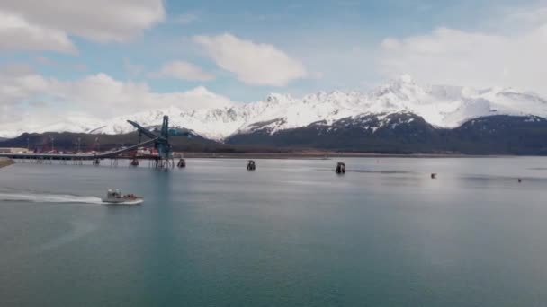 Seward Alaska Liman Rıhtım Meşgul Liman — Stok video