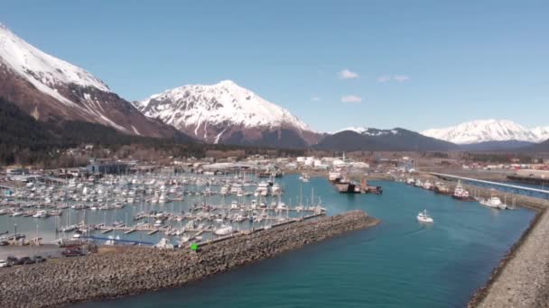 Drukke Haven Van Seward Alaska Harbor Waterfront — Stockvideo