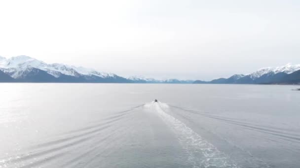 Лодки Бухте Воскресения Лодочной Гавани Сьюард Аляске — стоковое видео