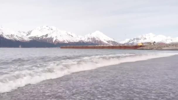 Lente Tijd Uitzicht Vanuit Seward Alaska — Stockvideo