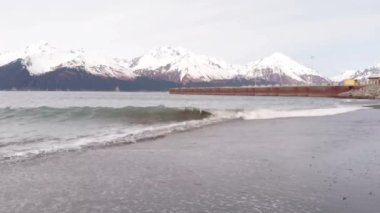 Seward Alaska'dan bahar manzaraları 