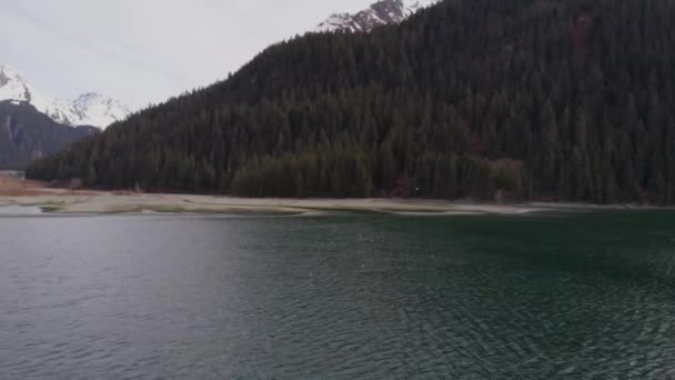 Vue Printemps Depuis Seward Alaska — Video