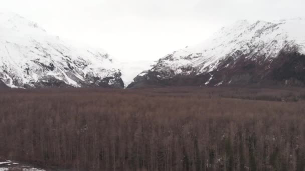 Vistas Primavera Seward Alaska — Vídeo de Stock