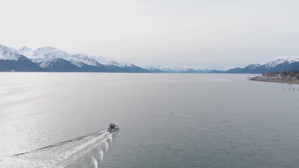 Diriliş Körfezindeki Tekneler Alaska Daki Seward Tekne Limanı — Stok video