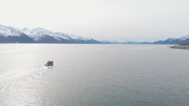Boats Resurrection Bay Seward Boat Harbor Alaska — Stock Video