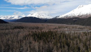 Alaska'dan muhteşem bahar manzarası 