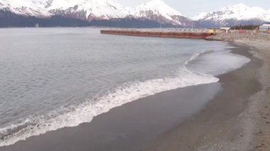 Seward Alaska'dan bahar manzaraları 