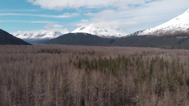 Seward Alaska'dan bahar manzaraları 