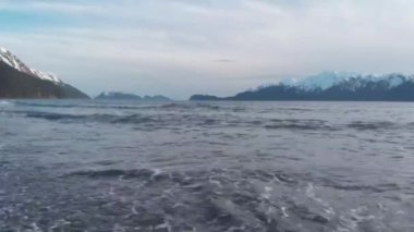 Seward Alaska'dan bahar manzaraları 