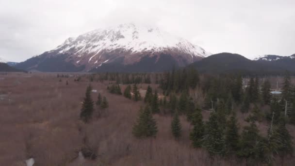 Vue Printemps Depuis Seward Alaska — Video