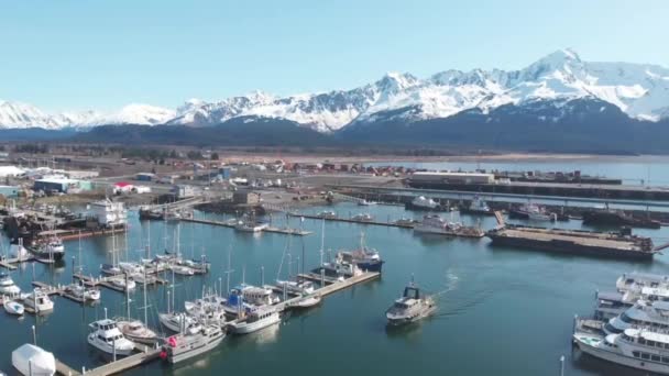 Barche Sulla Baia Resurrezione Porto Barche Seward Alaska — Video Stock