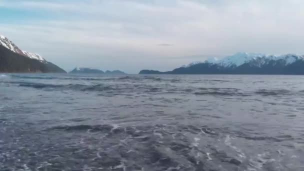 Seward Alaska Dan Bahar Manzaraları — Stok video