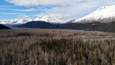 Alaska'dan muhteşem bahar manzarası 