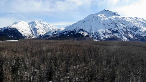 Espectacular Paisaje Primaveral Alaska — Foto de Stock