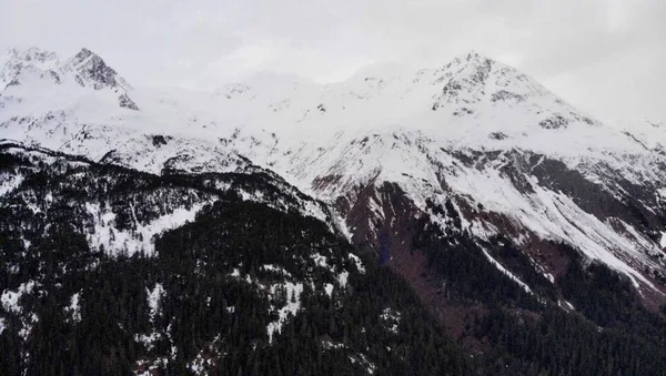 Alaska'da bahar dağ manzarası 