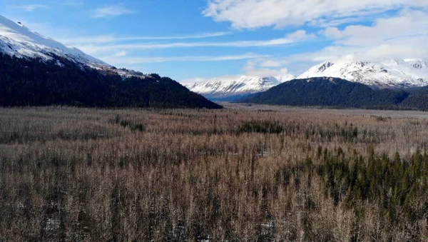 Spectacular Spring Scenery Alaska Stock Picture