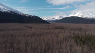 Seward Alaska'dan bahar manzaraları 