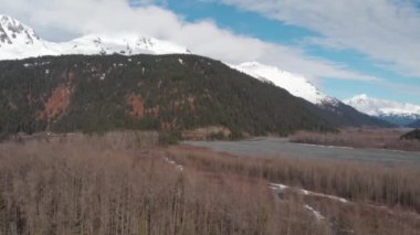 Seward Alaska'dan bahar manzaraları 