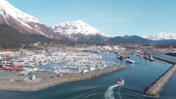 Boote Der Auferstehungsbucht Alaska — Stockvideo
