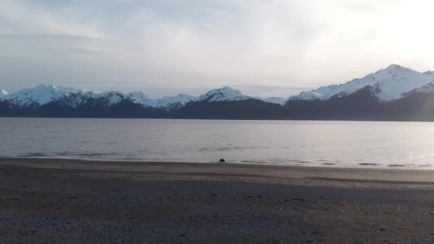 Lente Tijd Uitzicht Vanuit Seward Alaska — Stockvideo