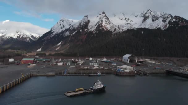 Groot Schip Het Water Alaska — Stockvideo
