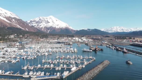 Båtar Resurrection Bay Seward Alaska — Stockvideo