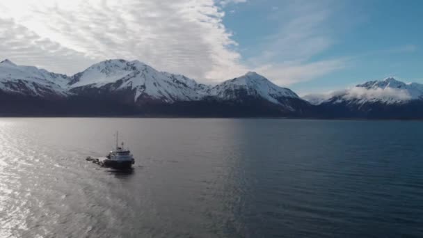 Alaska Suda Büyük Gemi — Stok video