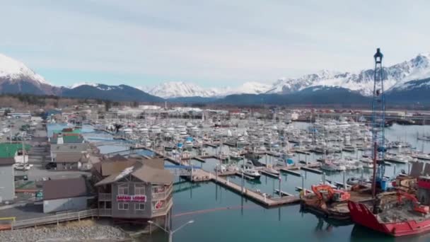 Båtar Resurrection Bay Seward Alaska — Stockvideo