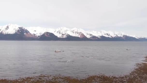 Barche Sulla Baia Resurrezione Seward Alaska — Video Stock