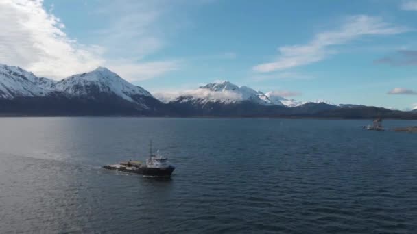 Båtar Resurrection Bay Seward Alaska — Stockvideo