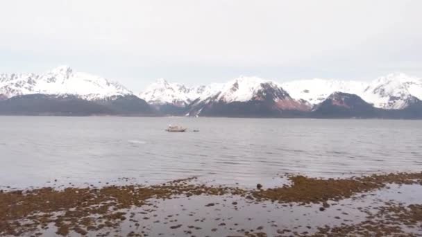 Båtar Resurrection Bay Seward Alaska — Stockvideo